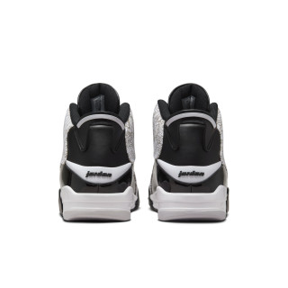 air jordan dub zero test