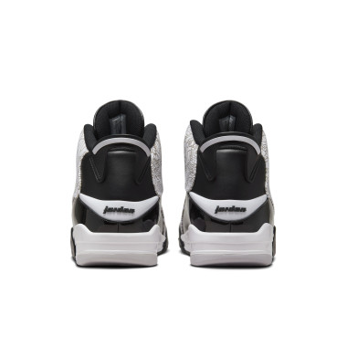 air jordan dub zero test