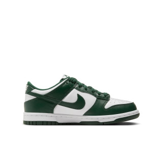 nike dunk