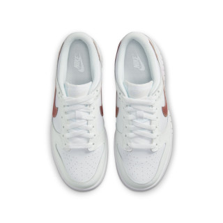nike dunk low (gs)