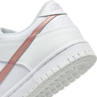 nike dunk low (gs)
